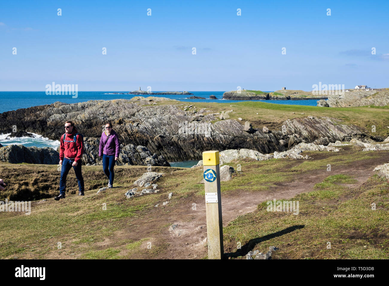Due persone che camminano sull'Isola di Anglesey sentiero costiero da Rhoscolyn, Isola di Anglesey, Galles, Regno Unito, Gran Bretagna Foto Stock