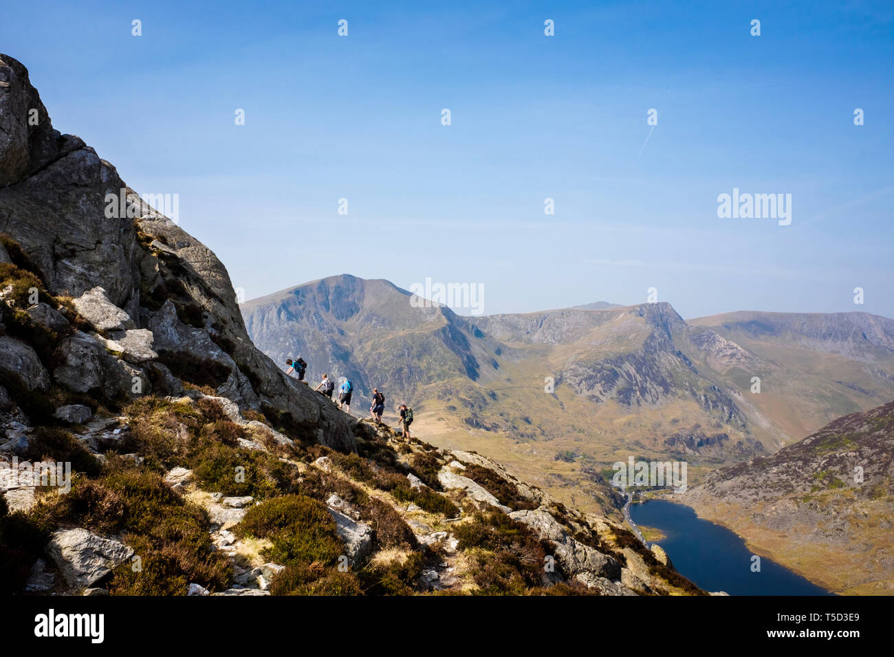 Gli escursionisti escursioni arrampicata fino a Mt Tryfan nord cresta sopra Llyn Ogwen Lago nelle montagne del Parco Nazionale di Snowdonia. Ogwen, Conwy, Wales, Regno Unito, Gran Bretagna Foto Stock