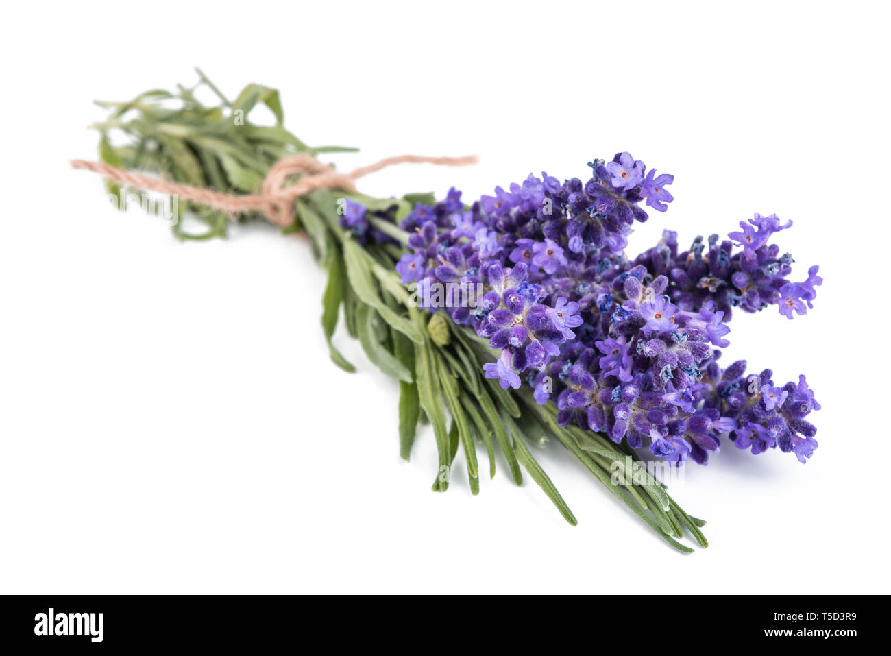 Lavanda fiori mazzetto legato isolati su sfondo bianco Foto Stock