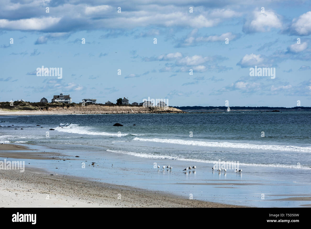 South Shore Beach, Little Compton, Rhode Island, Stati Uniti d'America. Foto Stock