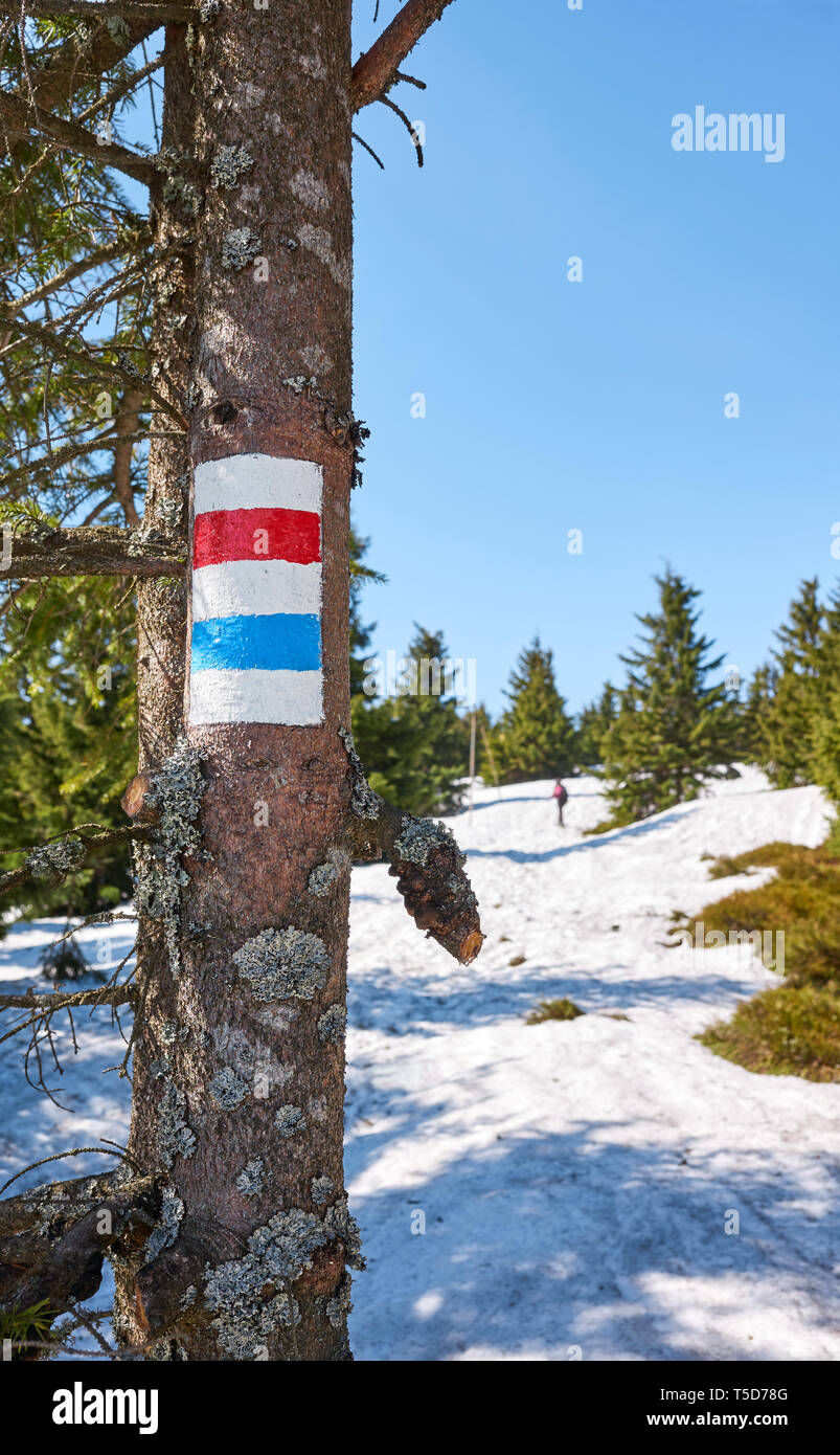 Percorso escursionistico di montagna marcatura su di un tronco di albero in Karkonosze National Park in primavera, Polonia. Foto Stock