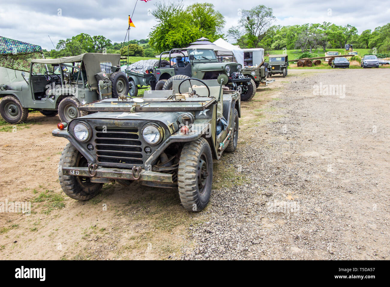 Visualizzazione delle jeep militari e veicoli Foto Stock