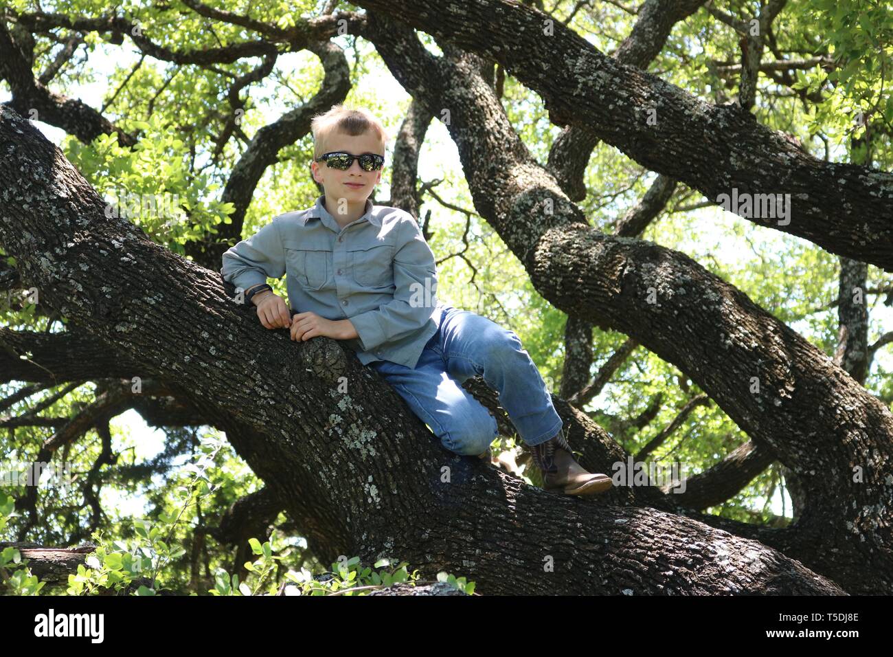 Felice ragazzo seduto su un ramo di un vecchio Live Oak tree Foto Stock