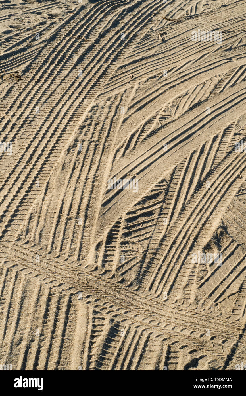 Deserto tracce di pneumatici, Stato Anza-Borrego Park, California Foto Stock