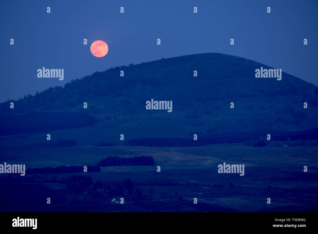 Pink Moon Rising su grandi Mell cadde, Lake District inglese, REGNO UNITO Foto Stock