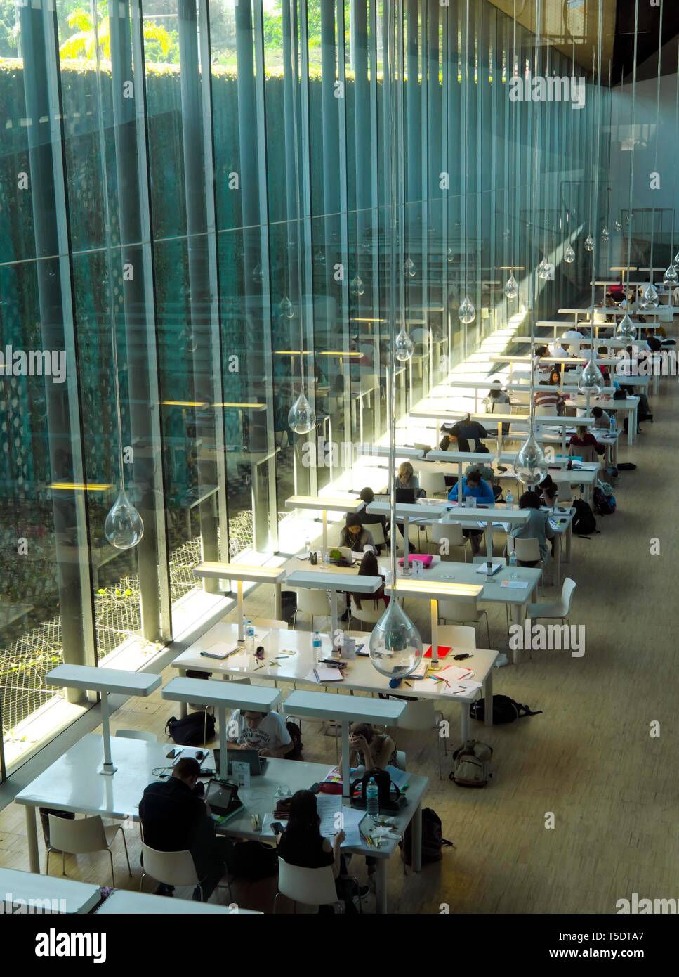 Biblioteca, Tenerife Espacio de las Artes, tè, Museo di Belle Arti, Santa Cruz de Tenerife, Tenerife, Isole Canarie, Spagna Foto Stock