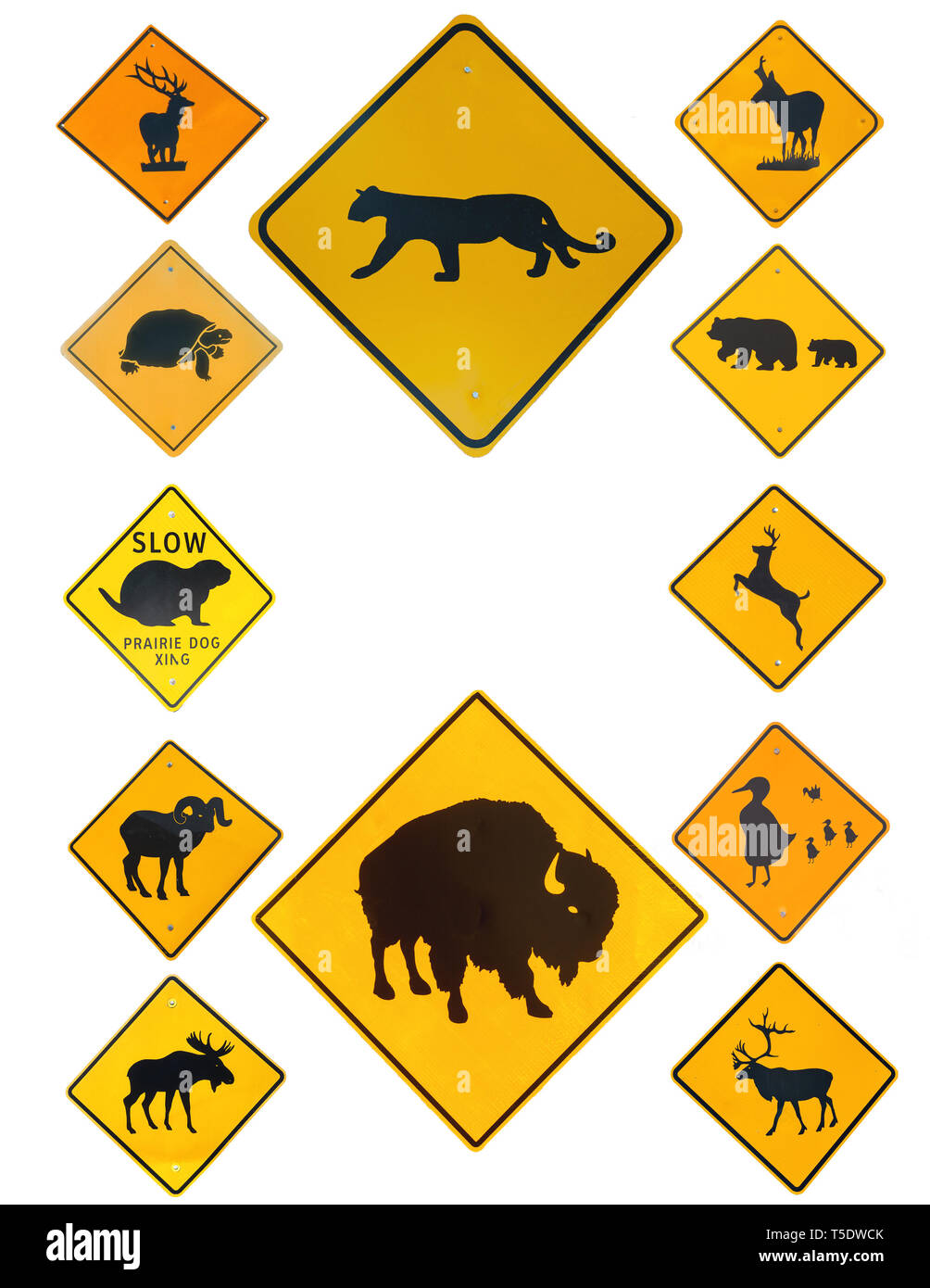 Nord America; Stati Uniti; fauna; autostrada cartelli stradali; Western USA Foto Stock