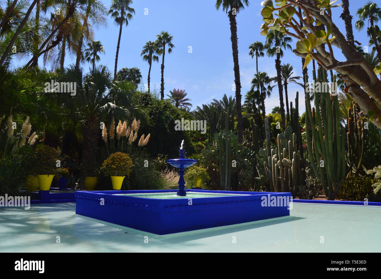 Giardino Majorelle Foto Stock