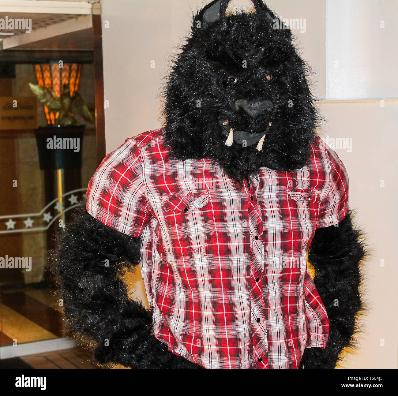 Un lupo mannaro costume per Halloween o carnevale Foto stock - Alamy