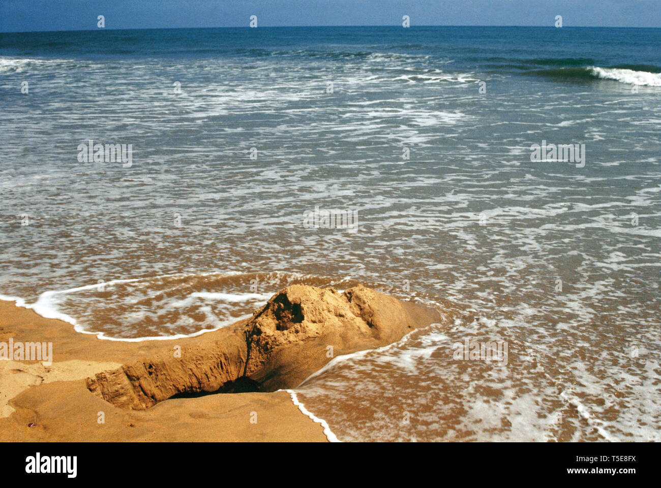 Spiaggia a Tithal, Valsad, Gujarat, India, Asia Foto Stock