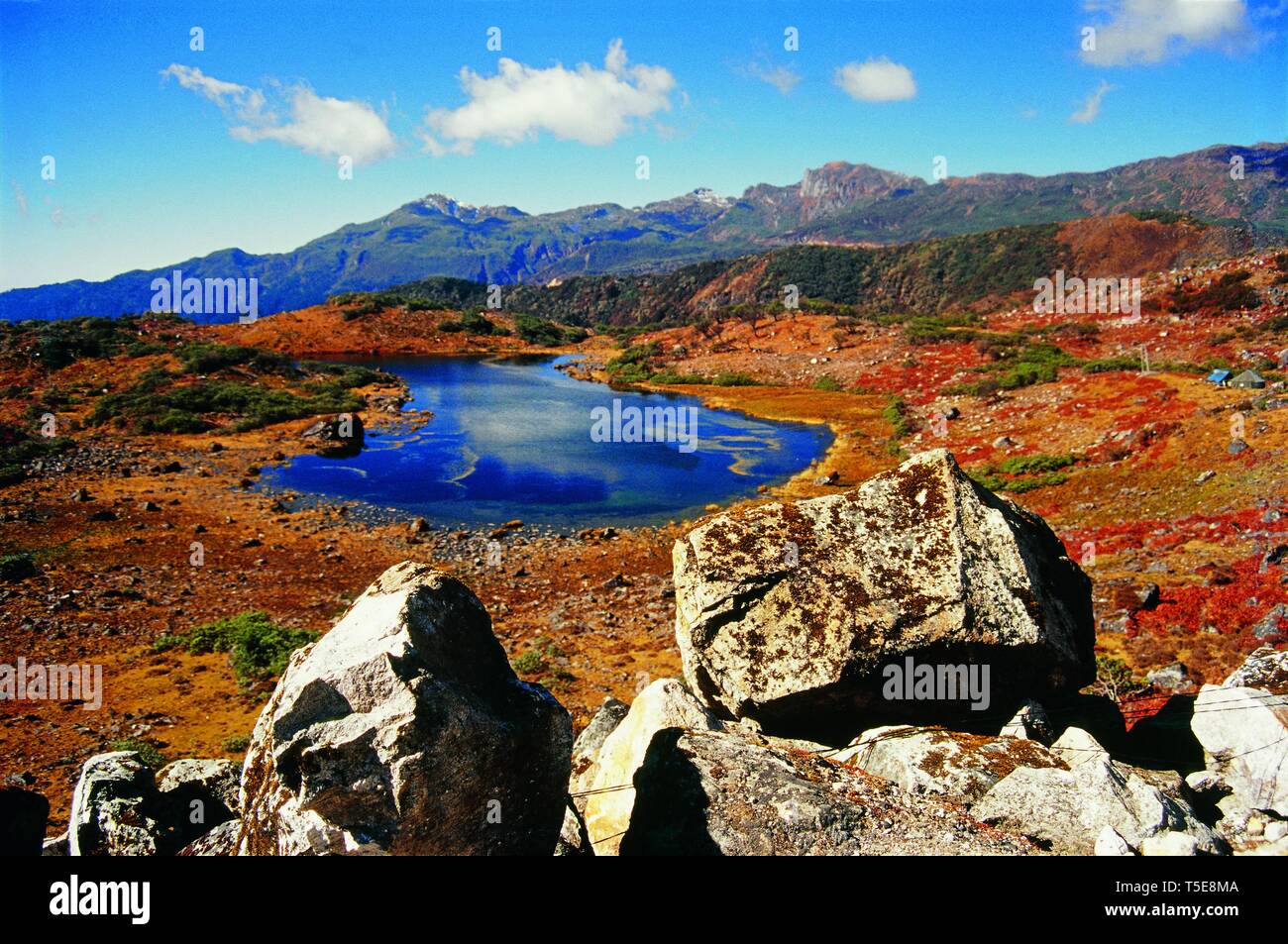 Nagula vicino lago di Tawang, Arunachal Pradesh, India, Asia Foto Stock