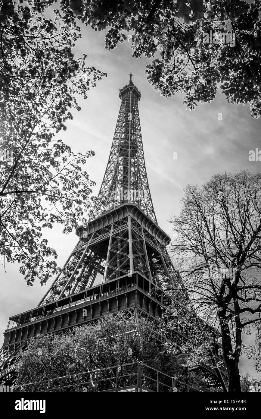 Torre Eiffel visto da Champs de Mars Foto Stock