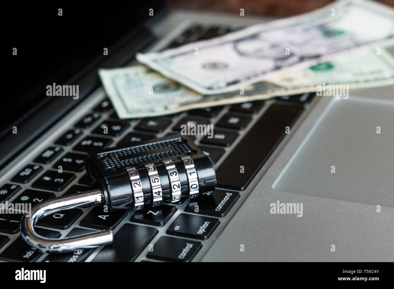 Armadietto e di dollari su un laptop. La sicurezza on-line concept Foto Stock