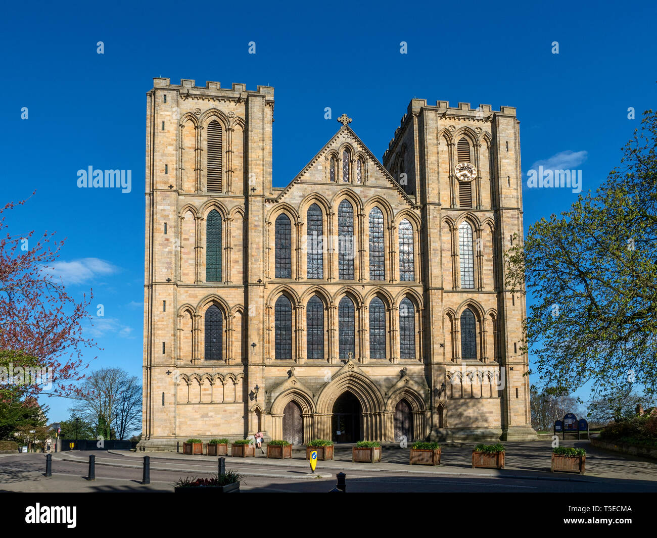 La Chiesa Cattedrale di San Pietro e di San Wilfrid o Ripon cattedrale della città di Ripon North Yorkshire, Inghilterra Foto Stock