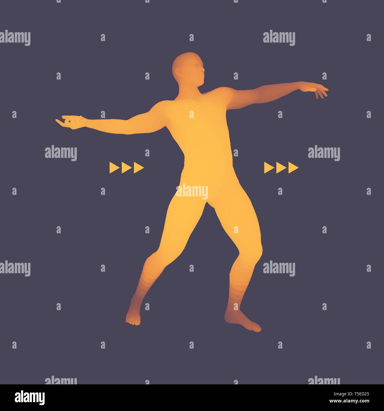 Modello 3D dell'uomo. Il corpo umano. Elemento di design. Illustrazione Vettoriale. Illustrazione Vettoriale