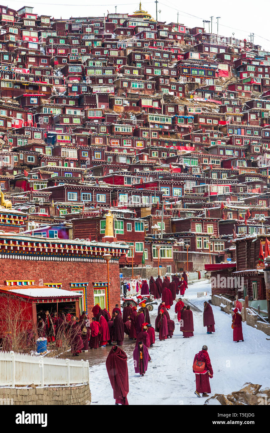 Seda,sichuan,Cina-Mar 08,2016,Monaci Seda buddhish college Foto Stock