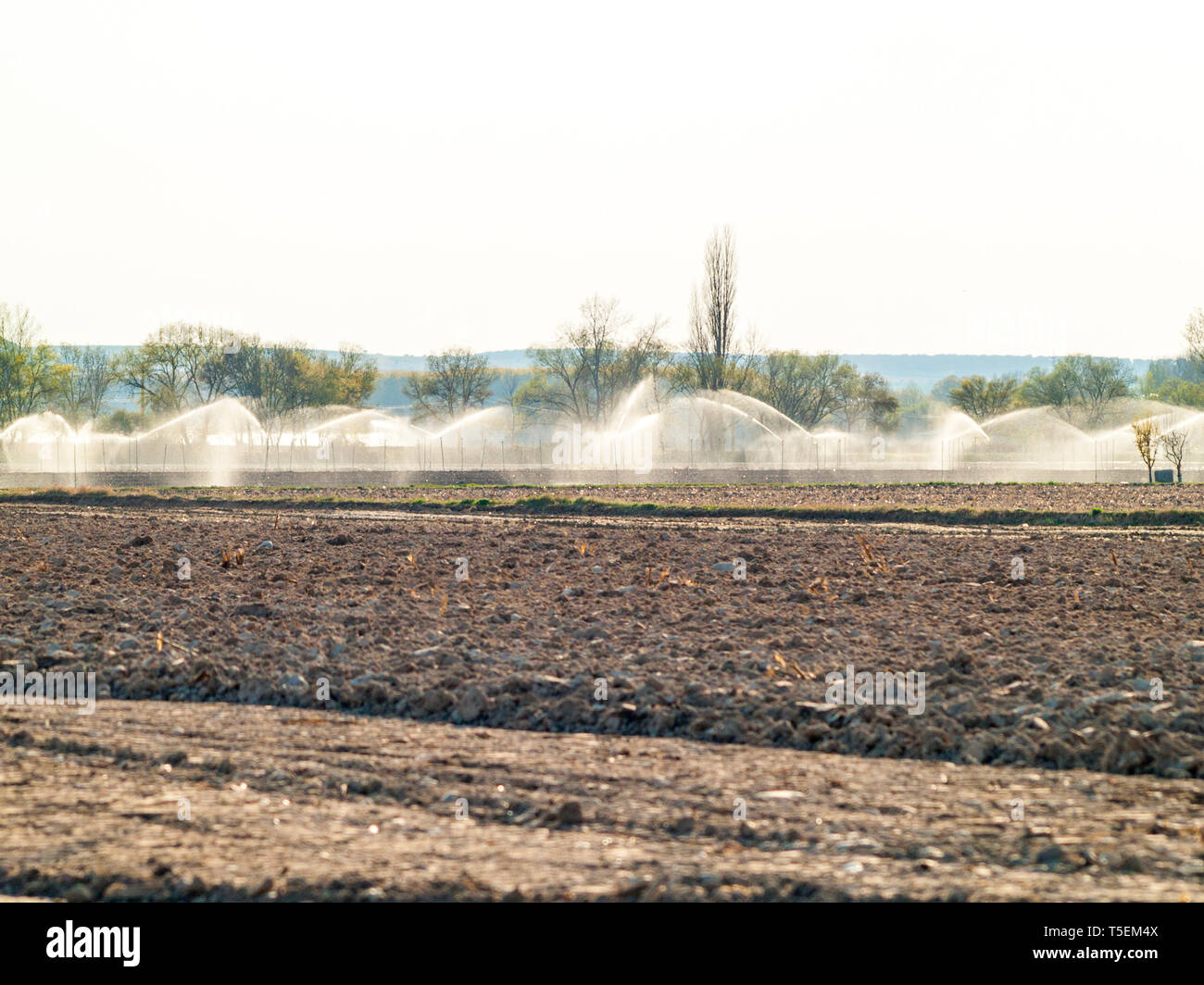 Sistema di irrigazione sulla campagna in Spagna Foto Stock