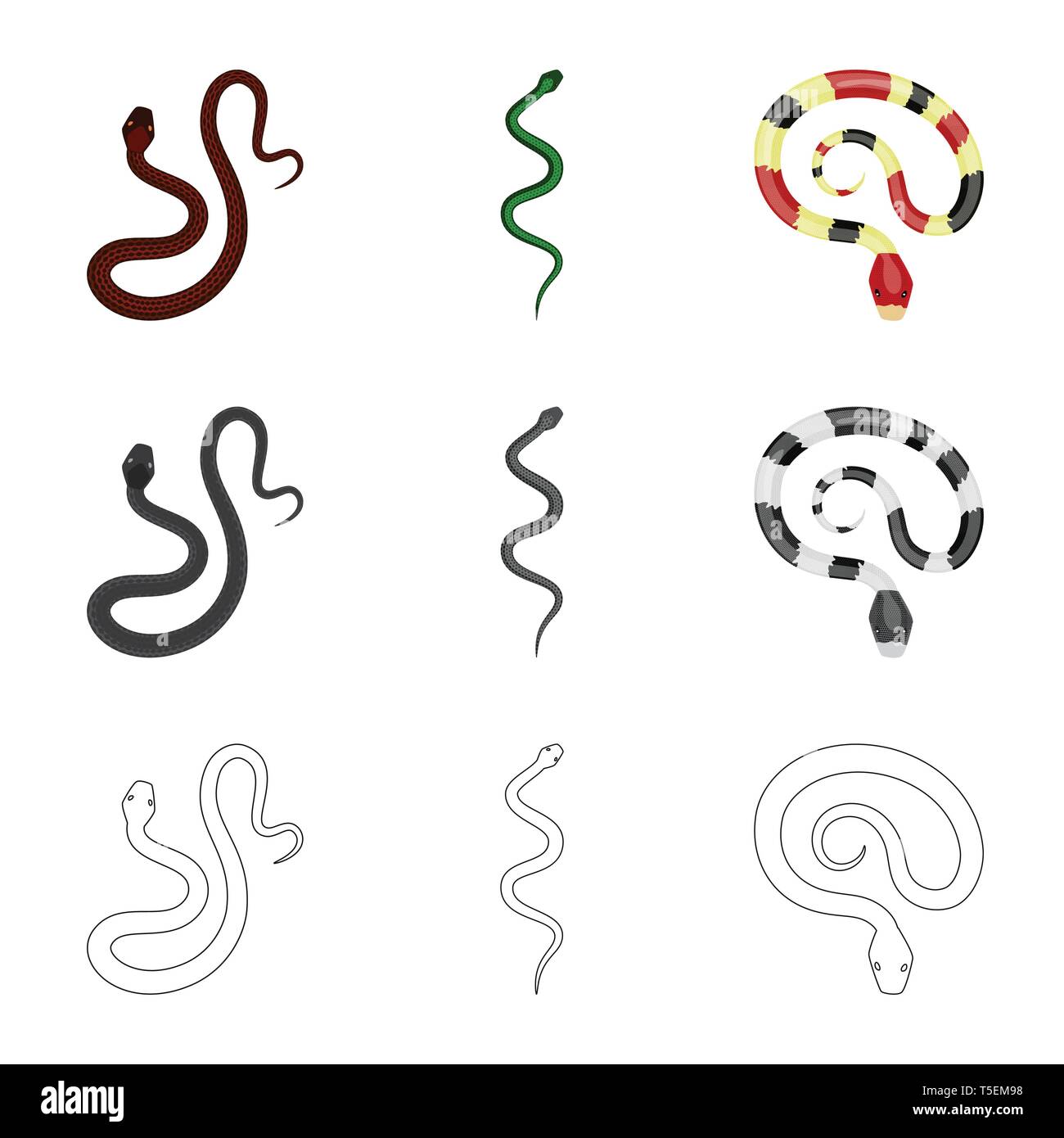 Snake,viper,coda,coral,spirale,rosso,python,Black,creeping,verde,bianco,spotted,forest,animale,tropici,jump,vietnam,morte,minaccia,selvatica,serpente,minaccia,royal,mammifero,pericolo,natura,medicina,veleno, male, male,bite,pelle,rettile,impostare,vettore,icona,immagine,isolato,raccolta,design,l'elemento,graphic,segno, Vettori vettore , Illustrazione Vettoriale