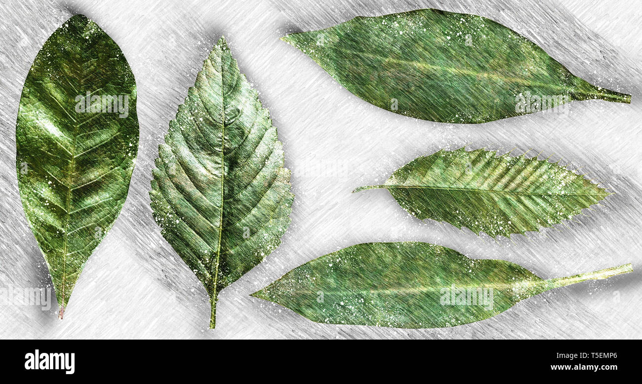 Arbor Day concetto Digitally Enhanced image di cinque fogli di houseplants su sfondo bianco Foto Stock