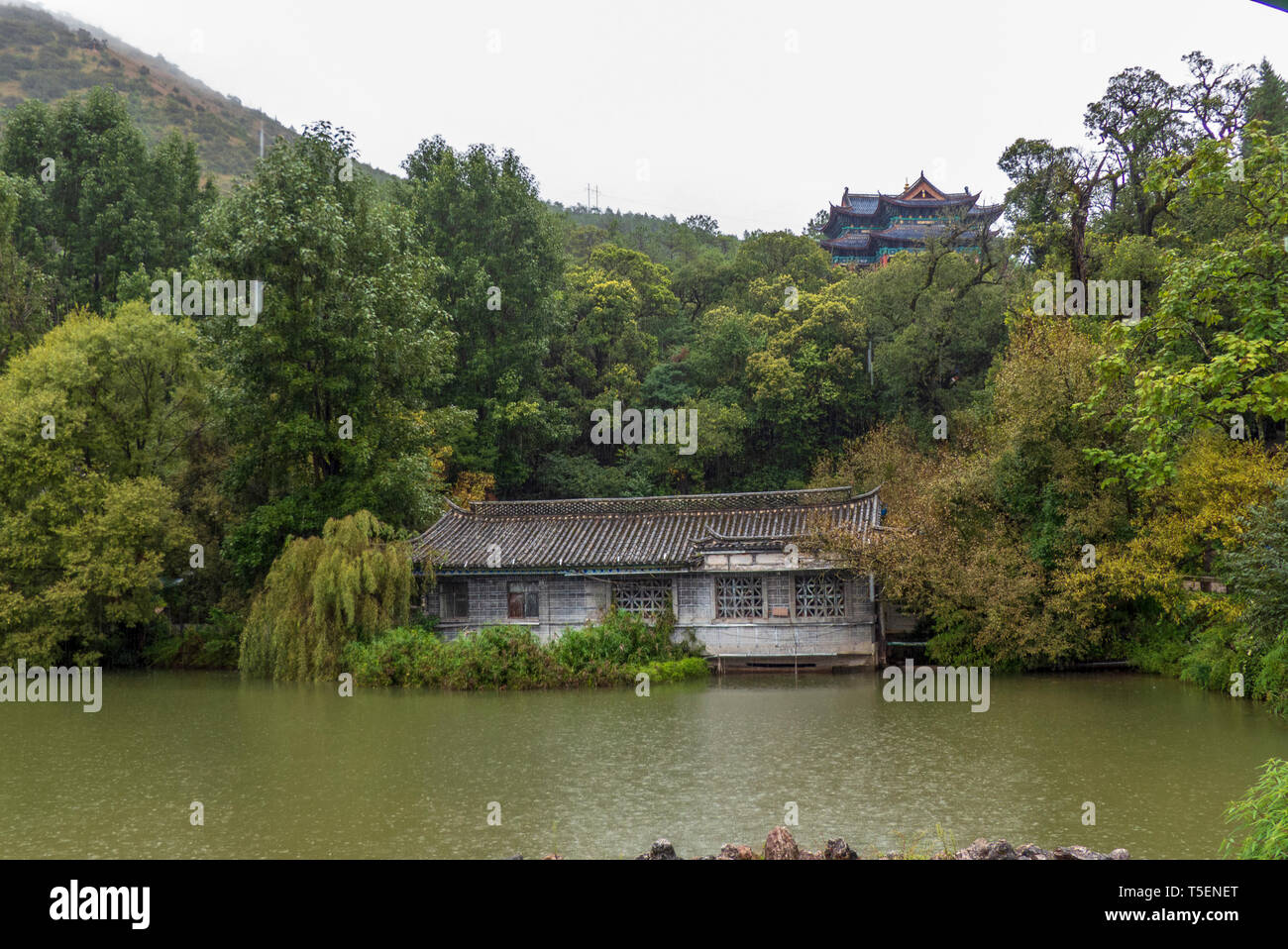 Drago Nero in pool di Lijiang, nella provincia dello Yunnan in Cina Foto Stock