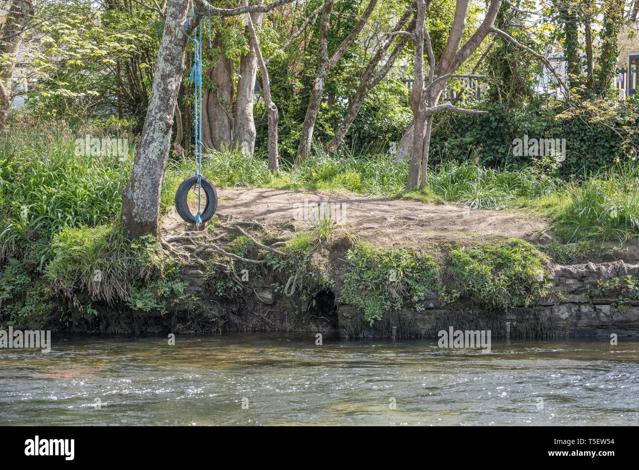 Tire Swing / albero oscillante da appendere una banca di fiume sopra l'acqua. Metafora i bambini a giocare, avventure all'aperto, durante le vacanze scolastiche. Foto Stock