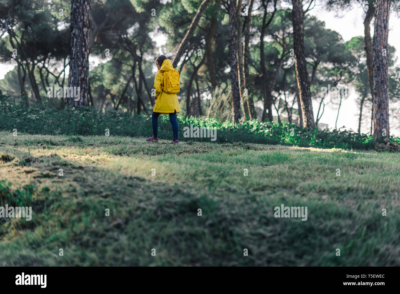 Ragazza che indossa un impermeabile giallo e giallo zaino a piedi nella natura Foto Stock