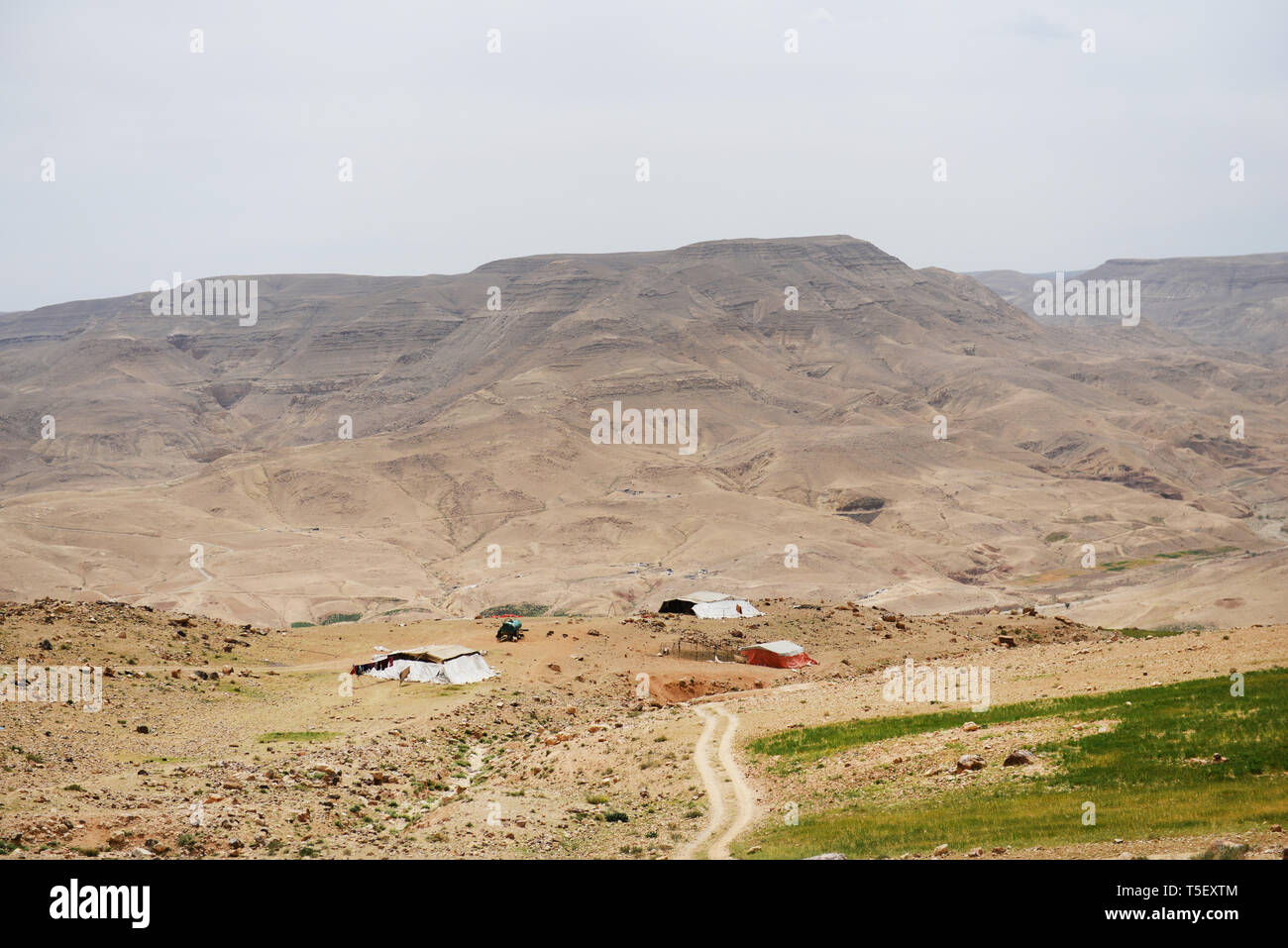 Tenda beduina nel sud della Giordania. Foto Stock