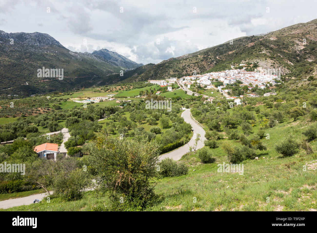 Il villaggio bianco di Jimera de libar, nelle montagne di Serranía de Ronda, Andalusia, Spagna. Foto Stock