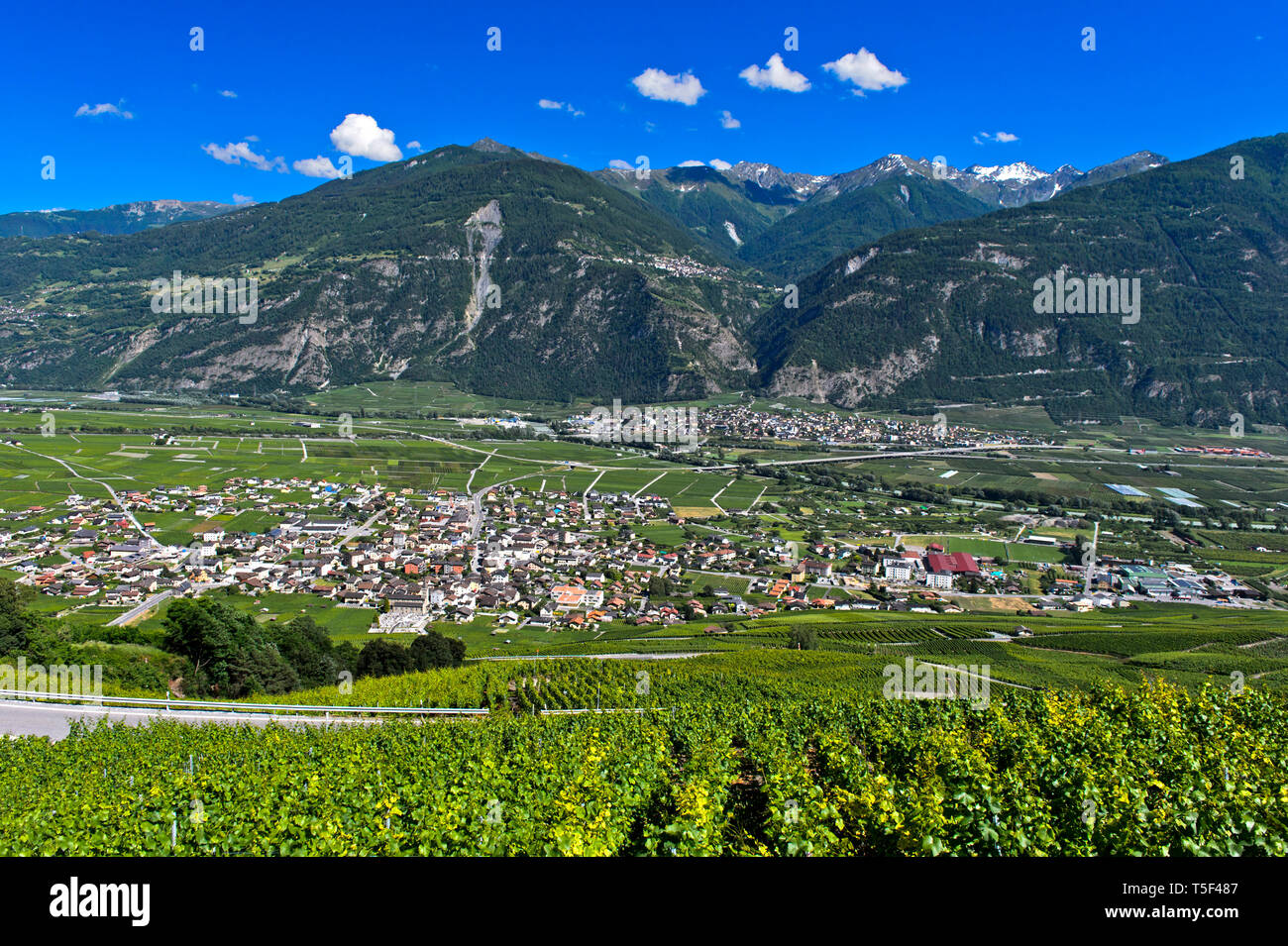 Area vitivinicola Leytron nella Valle del Rodano, Leytron, Vallese, Svizzera Foto Stock