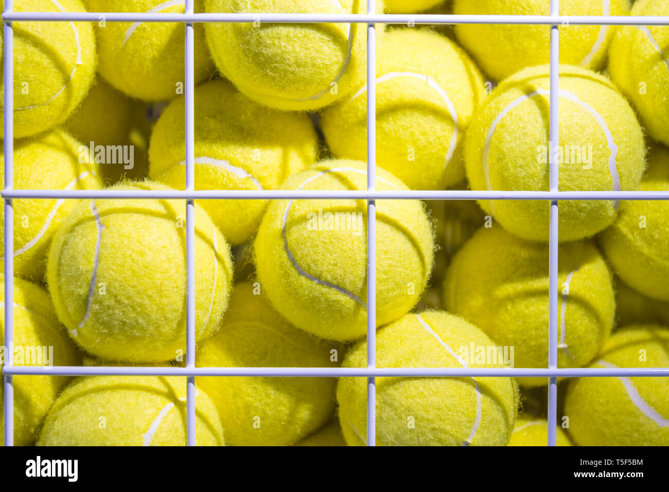 Luminoso giallo fluorescente di palle da tennis nella gabbia di rete metallica Foto Stock