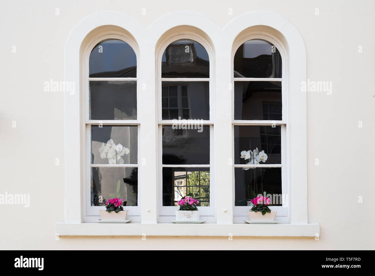 Scatole di finestra ad arco e finestre della casa di Victoria Grove, Kensington, Londra, Inghilterra Foto Stock