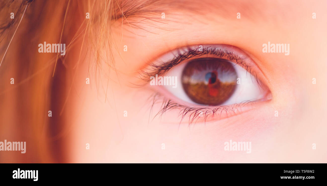 Occhio marrone di un i Capelli rossi ragazza, fotografia macro Foto Stock