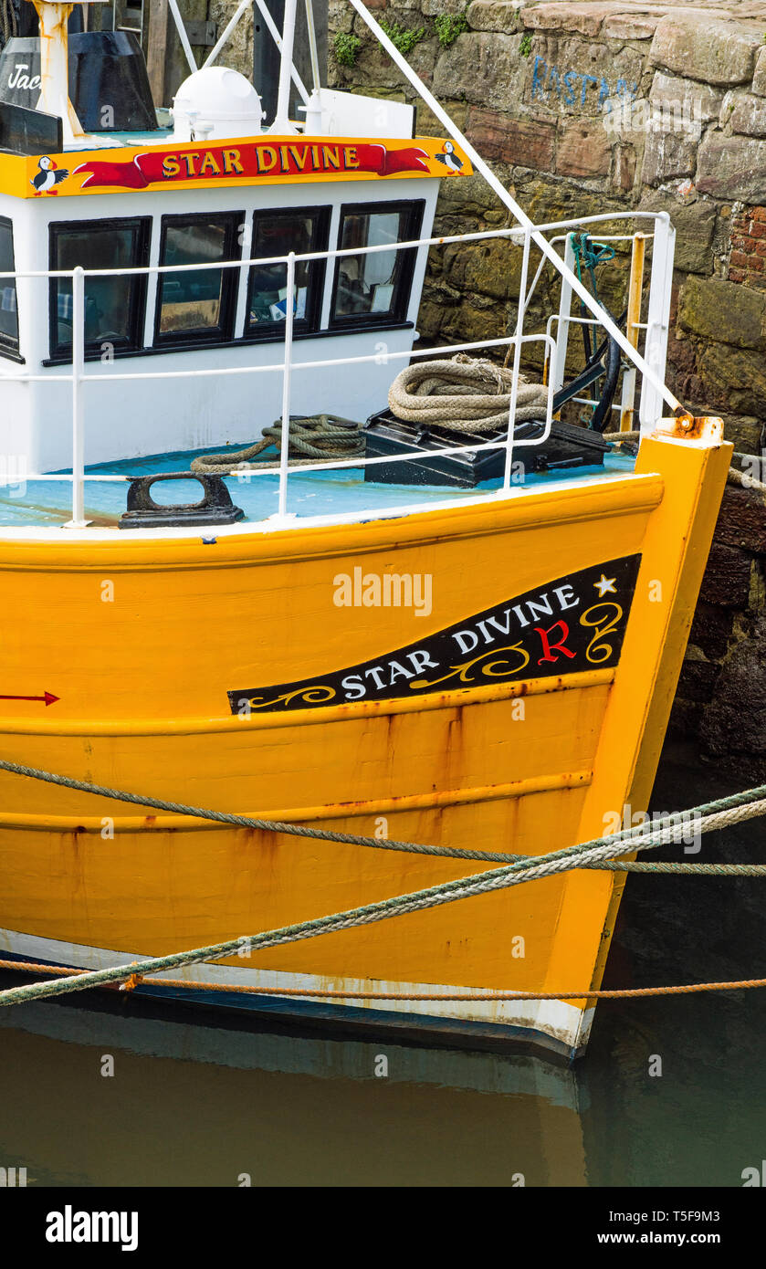 Trawler imbarcazione attraccata a Dunbar Harbour, a sud est della Scozia. Dunbar è un scozzese città costiera con una flotta da pesca di un certo numero di navi per la pesca a strascico. Foto Stock