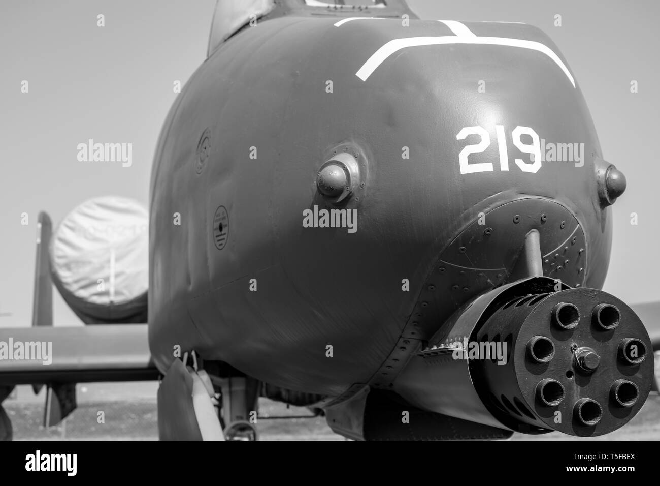 Fairchild Republic A10-un attacco a terra di aeromobili Foto Stock