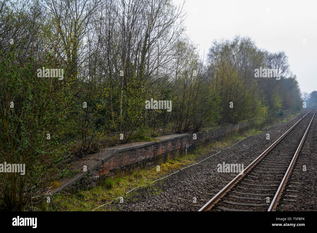 Piattaforma ferroviaria disutilizzata quando la pista sud è stata rimossa negli anni '70, Campsea Ashe (Wickham Market), Suffolk, Regno Unito. Foto Stock