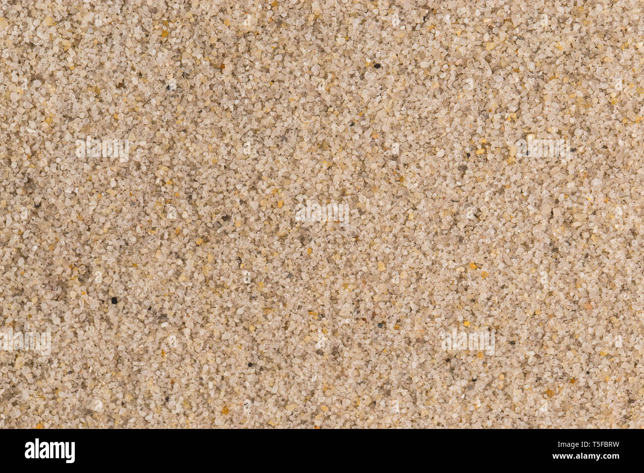 Giallo Sfondo sabbia, grani, macro close up Foto Stock
