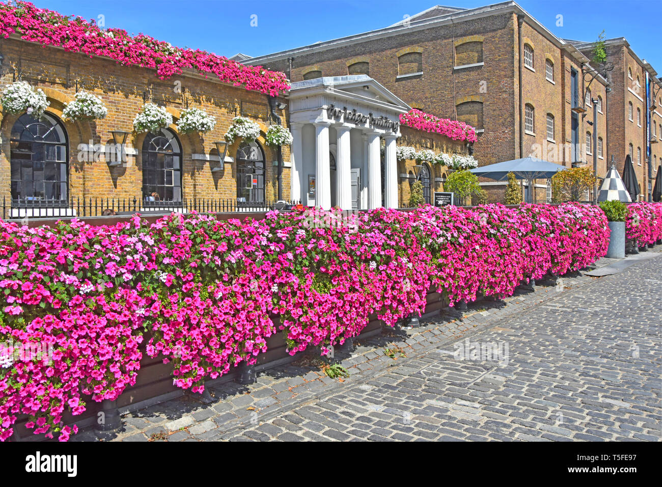 West India Quay Canary Wharf London street scene fiori di petunia a Wetherspoons storico edificio Ledger London pub ristorante business Inghilterra REGNO UNITO Foto Stock