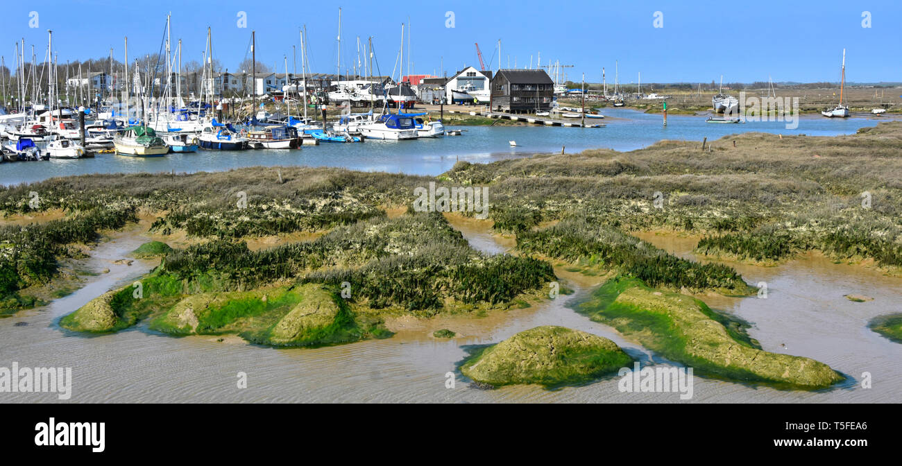 Paesaggio Panorama barche e yacht in marina ormeggi al villaggio costiero di Tollesbury sul fiume Blackwater barene e fangoso insenature Essex England Regno Unito Foto Stock