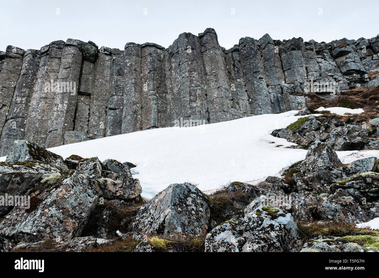 A ovest dell'Islanda. La scogliera di regolari basalto colonnare colonne a Gerðuberg, sulla penisola di Snaefellsnes, è causato da attività vulcanica Foto Stock