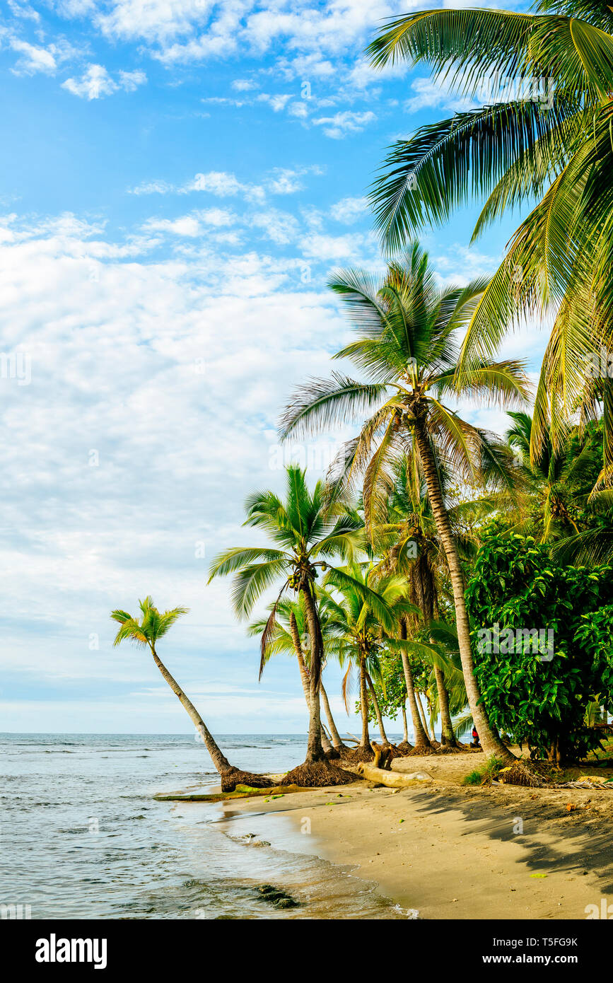 Costa Rica, Chiquita Beach Foto Stock