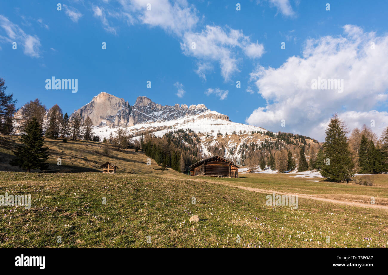 Suggestivo panorama del Gruppo del Catinaccio (ital. Cima Catinaccio), Dolomiti, Italia Foto Stock