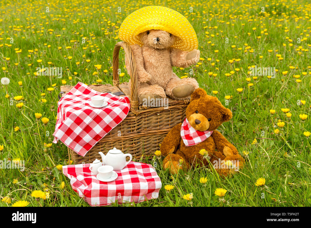Teddy Bear's picnic con colore giallo brillante di tarassaco e rosso Gingham tovaglia. Concetto: felice, all'aperto, la natura, i bambini. Paesaggio, spazio per la copia Foto Stock