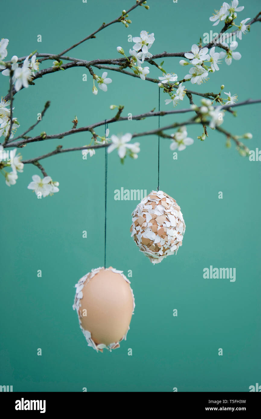 Decorazione di pasqua, Pasqua uova con gusci appeso sul ramoscello Foto Stock