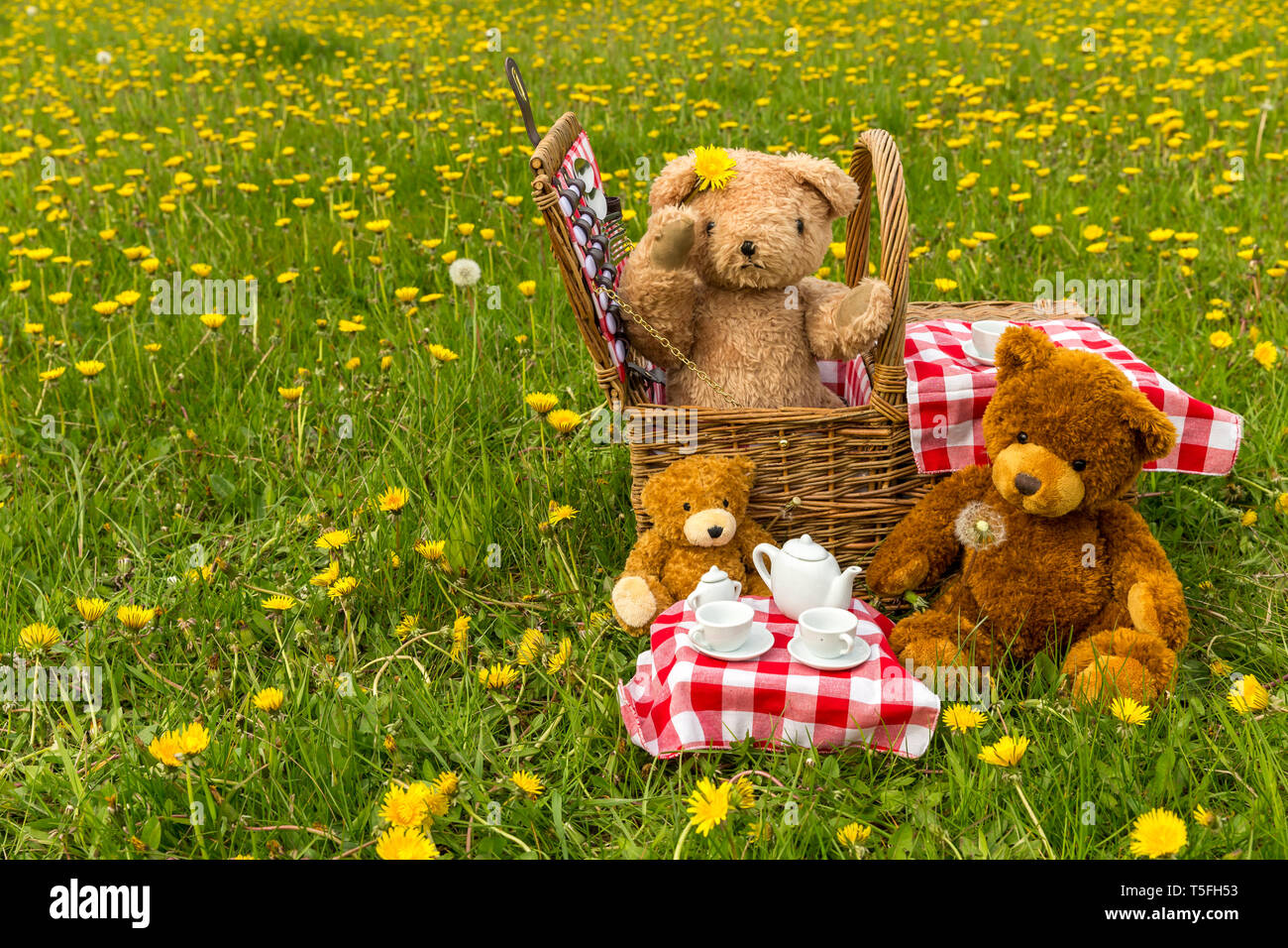 Teddy Bear's picnic con colore giallo brillante di tarassaco e rosso Gingham tovaglia. Concetto: felice, all'aperto, la natura, i bambini. Paesaggio, spazio per la copia Foto Stock