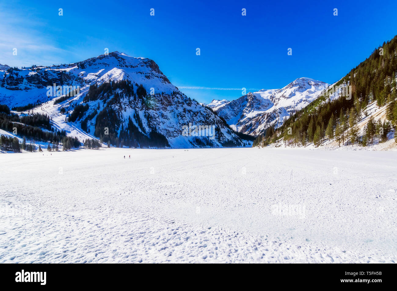 Austria, Tirolo, Valle di Tannheim in inverno Foto Stock