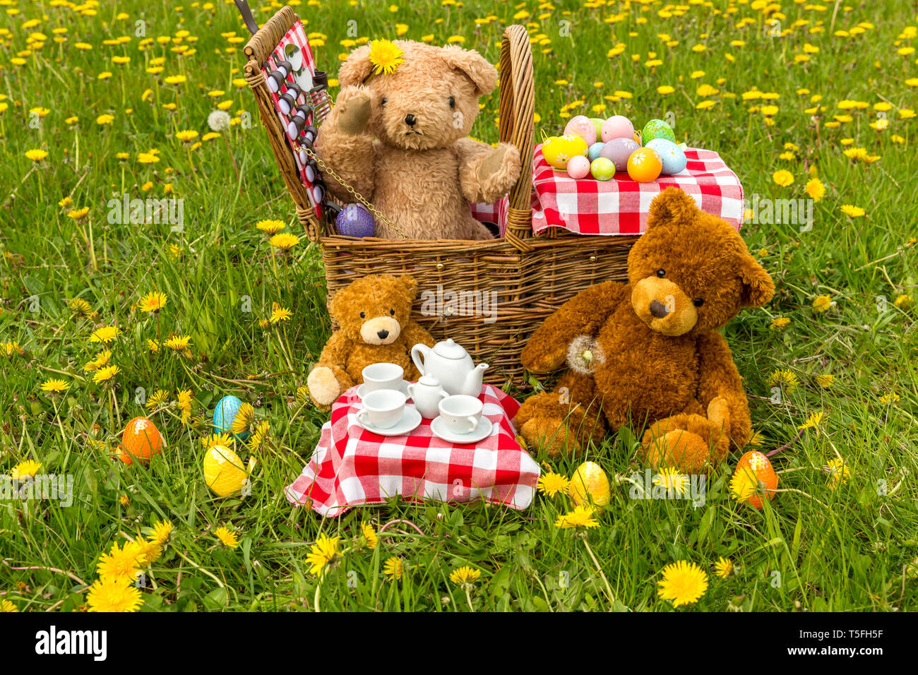 Teddy Bear's picnic con colore giallo brillante di tarassaco e rosso Gingham tovaglia. Concetto: felice, all'aperto, la natura, i bambini. Paesaggio, spazio per la copia Foto Stock