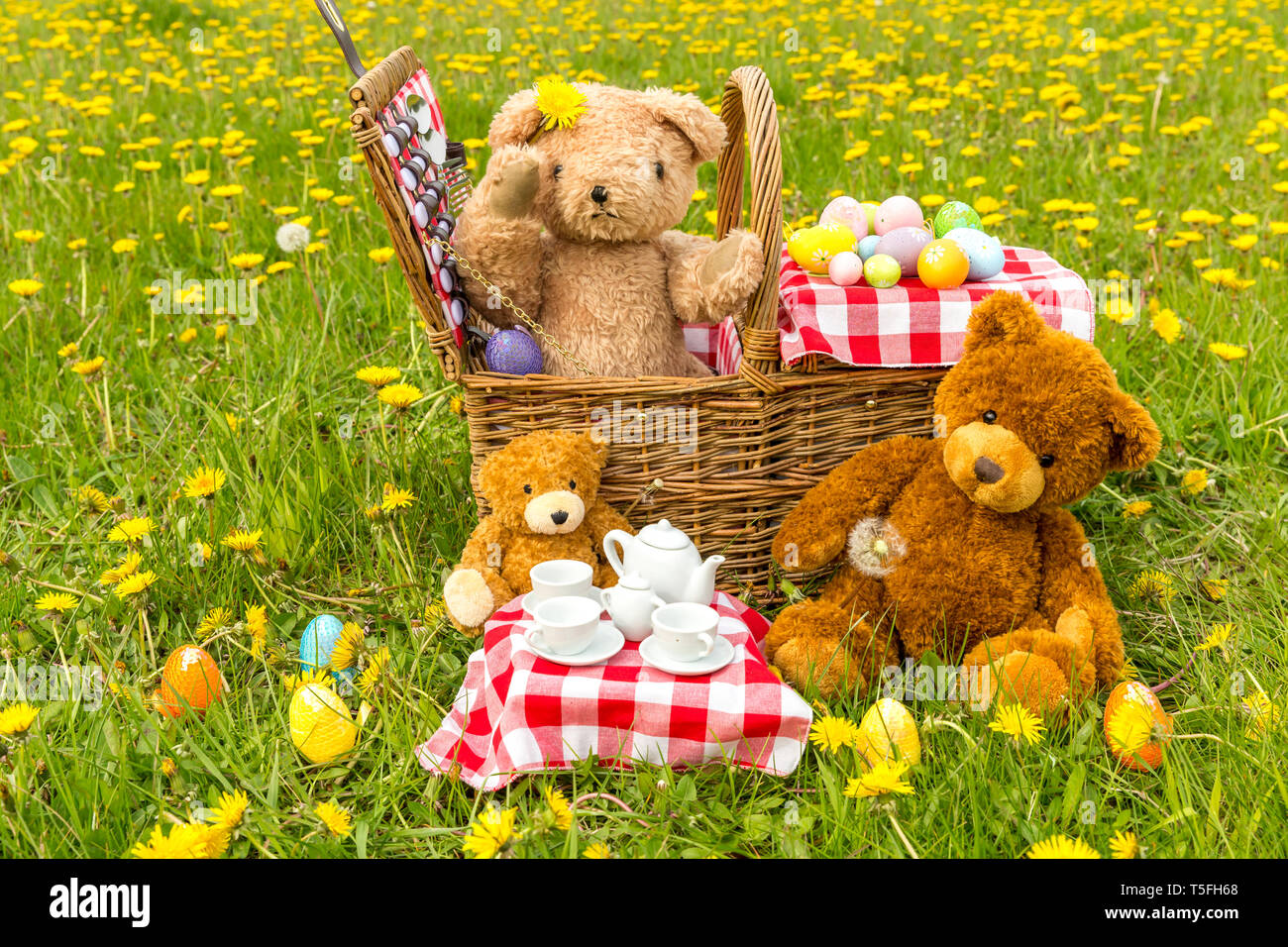 Teddy Bear's picnic con colore giallo brillante di tarassaco e rosso Gingham tovaglia. Concetto: felice, all'aperto, la natura, i bambini. Paesaggio, spazio per la copia Foto Stock