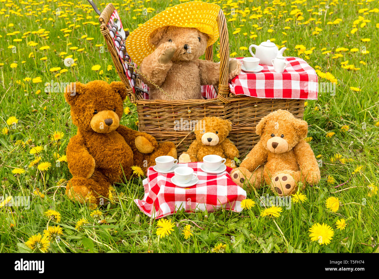 Teddy Bear's picnic con colore giallo brillante di tarassaco e rosso Gingham tovaglia. Concetto: felice, all'aperto, la natura, i bambini. Paesaggio, spazio per la copia Foto Stock