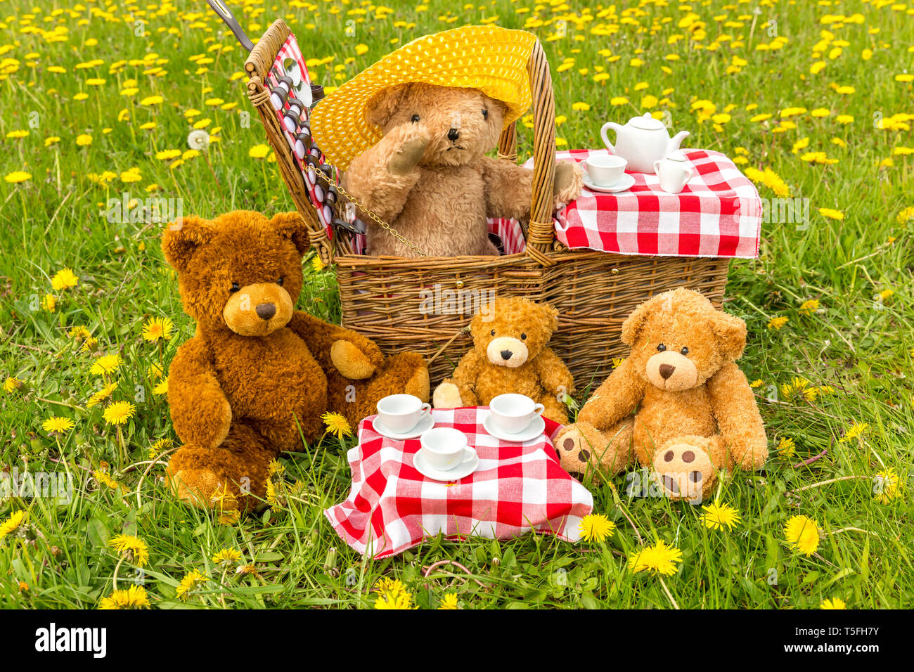 Teddy Bear's picnic con colore giallo brillante di tarassaco e rosso Gingham tovaglia. Concetto: felice, all'aperto, la natura, i bambini. Paesaggio, spazio per la copia Foto Stock