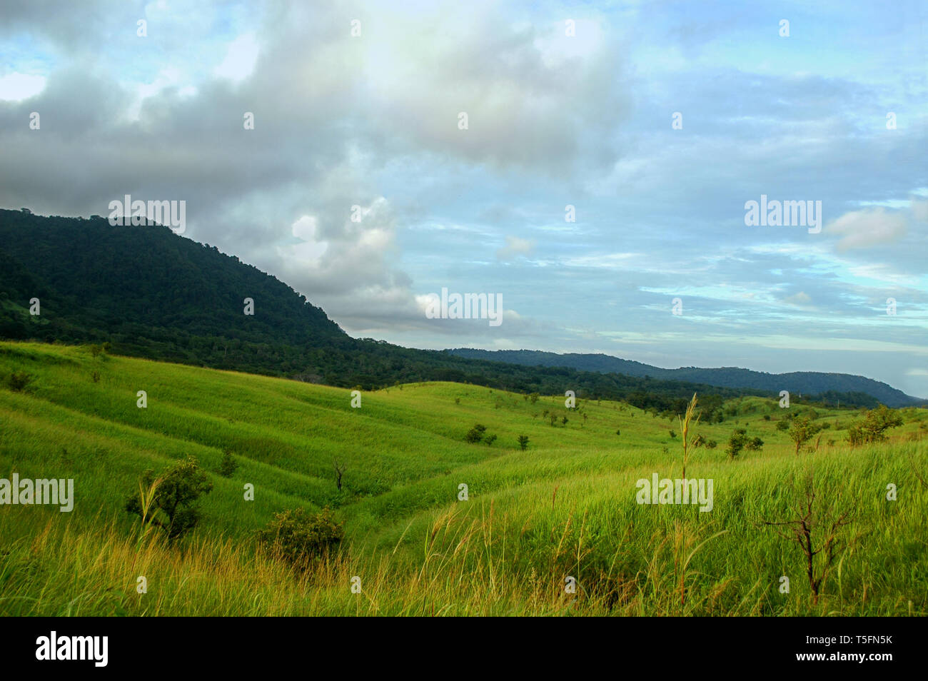 Bellissimi prati vicino Lamanabi Trappista Flores dove i monaci dal percorso della rinuncia di mantenere il monastero self solidale aiutando gli altri. Foto Stock